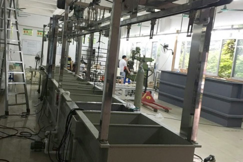 自動過水型電泳自動線